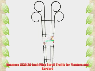 Bosmere L530 36-Inch Wire Scroll Trellis for Planters and Borders