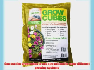 1 cu. ft. - Grow Cubes - Stonewool - 1/4 in. Cubes - Grodan RW91001