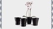 Set of 4 Assorted Pieces 6 Ceramic Black Orchid Flower Pots Planters
