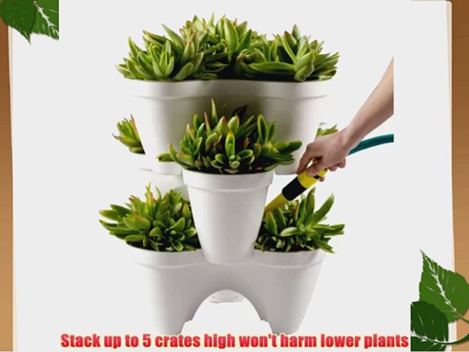 Keter Ivy Planter Stackable 1-Step Watering Reservoir Drain Set of 3