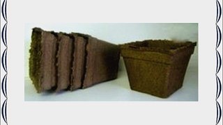 CowPots Biodegradable 6 inch Square (54/Case)