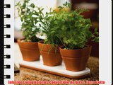 Infusion Living Reforms Convertible Herb Pot Terra Cotta