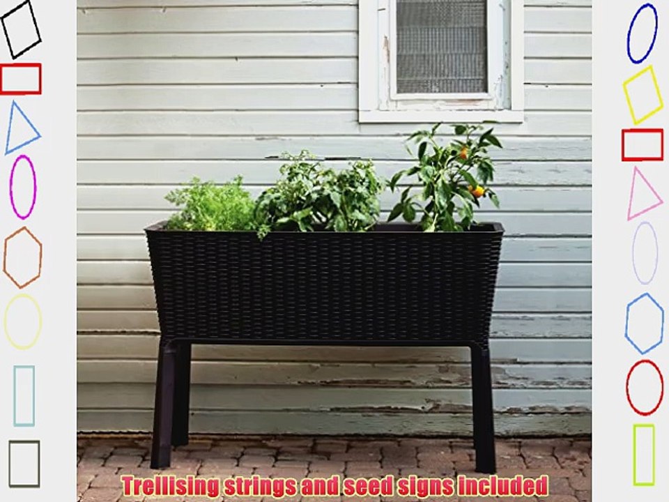 Keter Elevated Garden Bed/Plant Box