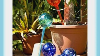 Watering Globes Large - 16pc Deluxe Set