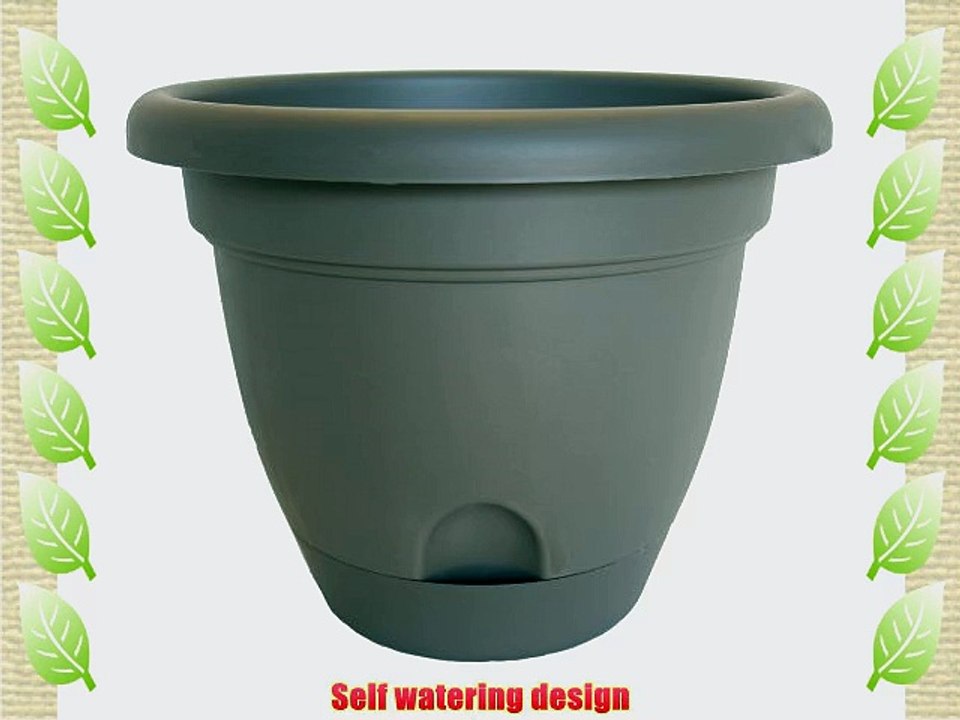 Bloem Living LP1660 Lucca Self-Watering Planter 16-Inch Peppercorn