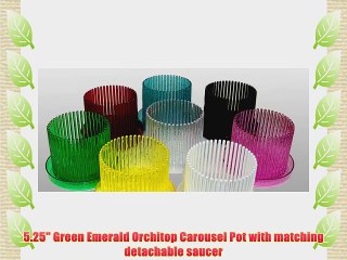 5.25 Green Emerald Orchitop Carousel Pot with matching detachable saucer
