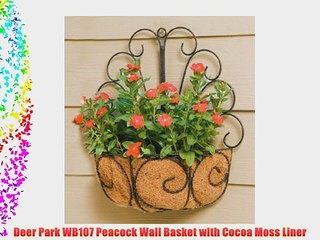 Deer Park WB107 Peacock Wall Basket with Cocoa Moss Liner