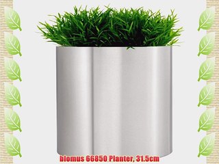 blomus 66850 Planter 31.5cm