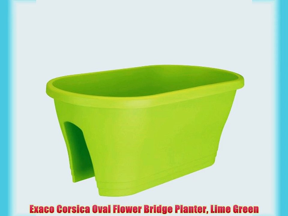 Exaco Corsica Oval Flower Bridge Planter Lime Green