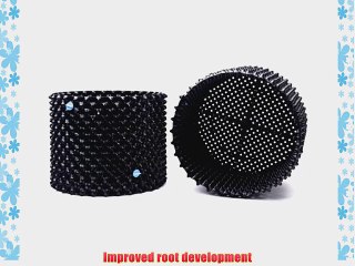 Superoots Air-Pot 10 Gallon Equivalent