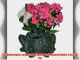 GSI Homestyles Large Toad Planter Dark Natural Holds 4 inch W Pot
