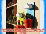 Singeek(TM) Newwest Wall Mount Rainy Pot Flower Pot With Cloud-Shaped Water Filter-Indoor Hanging