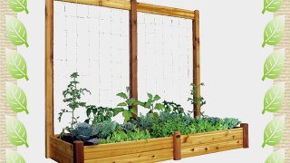 Gronomics RGBTK3495 Raised Garden Bed 34 by 95 by 13-Inch with 95 by 80-Inch Trellis Kit
