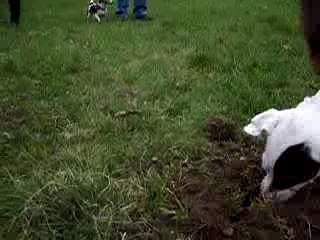 Balade à Marly le  Roi