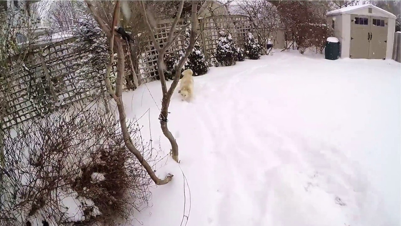 Brady vs. Fresh Snow