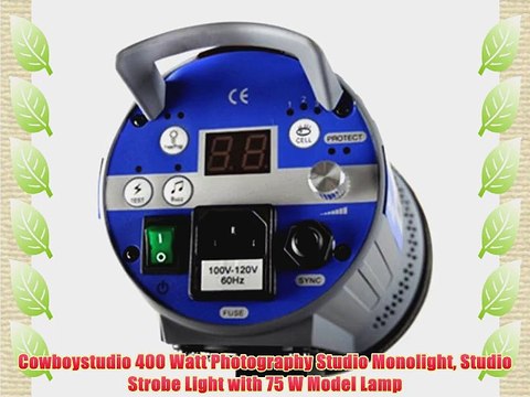 Cowboystudio 400 Watt Photography Studio Monolight Studio Strobe Light with 75 W Model Lamp