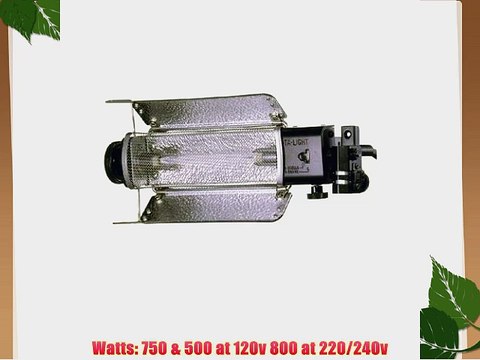 Lowel Tota-light Quartz Halogen Broad Light with 750 watt 120 volt EMD Lamp