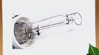 Photoflex 500 watt Bulb for the Starlite Tungsten Light Unit.