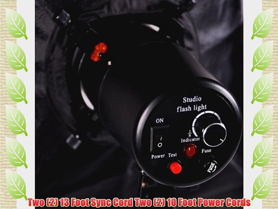 CowboyStudio 320 Watt Photo Studio Monolight Flash Lighting Kit -2 Studio Storbe Lights and