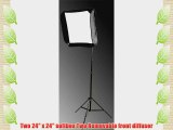 Fancierstudio 2 x 24 inch Softbox for Speedlight and Flash with Stand-SB1009 24 inch Kit