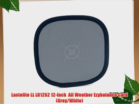 Lastolite LL LR1252 12-Inch All Weather Ezybalance Card (Grey/White)