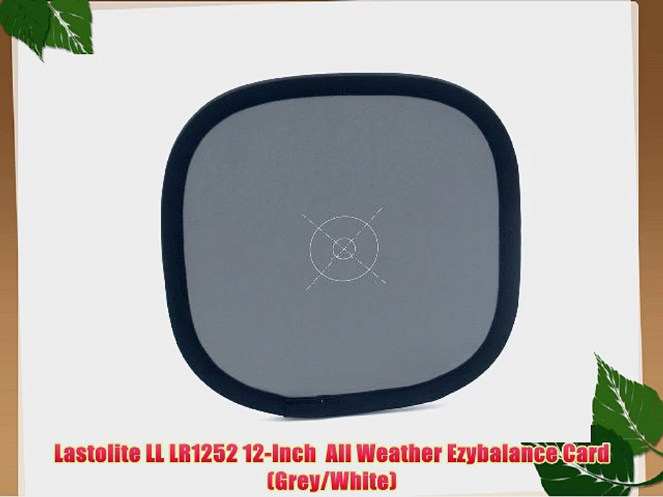 Lastolite LL LR1252 12-Inch  All Weather Ezybalance Card (Grey/White)
