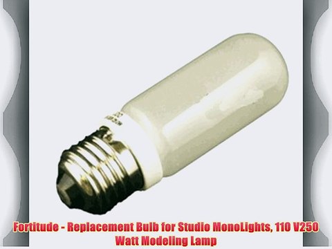 Fortitude - Replacement Bulb for Studio MonoLights 110 V250 Watt Modeling Lamp