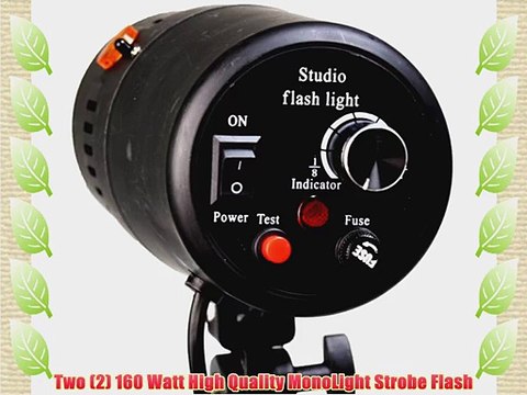 CowboyStudio 320 Watt Photo Studio Monolight Strobe/Flash Umbrella Lighting Kit - 2 Studio