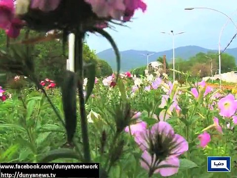 Dunya News - Dense fog blankets different areas in Punjab