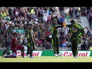 Saeed ajmal wickets
