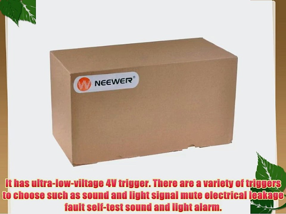 Neewer? Professional Photography 300 Watt Studio Monolight Photo Studio High-speed Strobe Flash