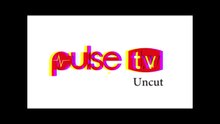 Ebony lady. pulse tv uncut