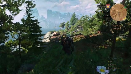 The Witcher 3  Wild Hunt - Clip 4