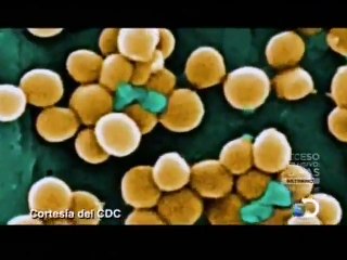 Forenses   Dra G (2)