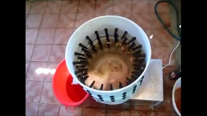 Awesome Chicken Feather Removing Machine