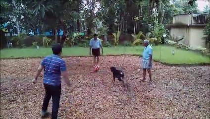 AMAZING DOG- Messi type skills - MUST WATCH