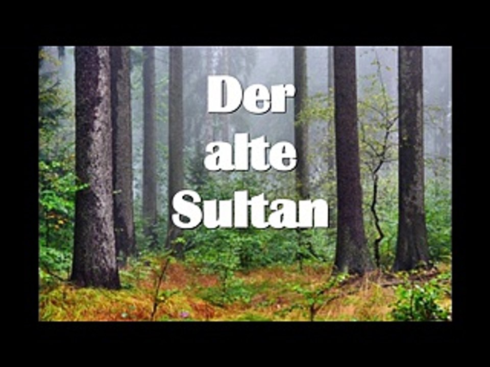 Der alte Sultan