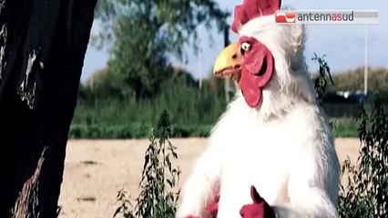 Una Meravigliosa Stagione Fallimentare | Trailer ufficiale