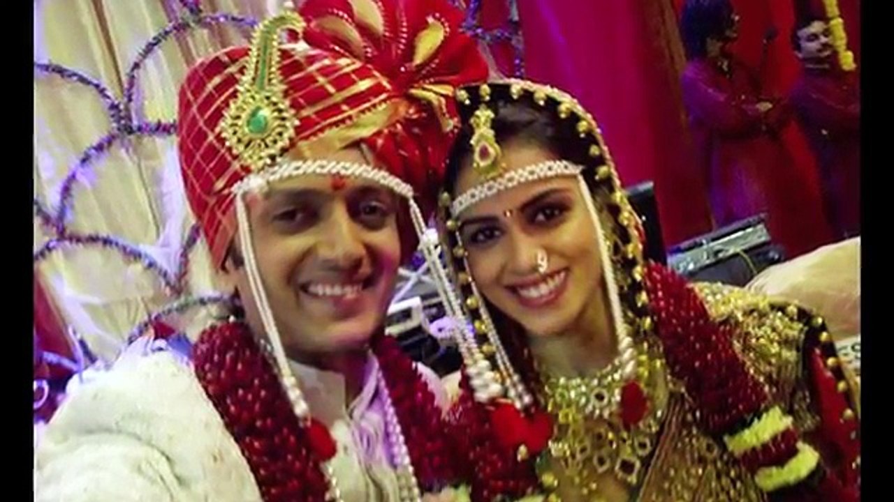 Jai Ho   Genelia D'souza Salman Khan Hot Scene Leaked