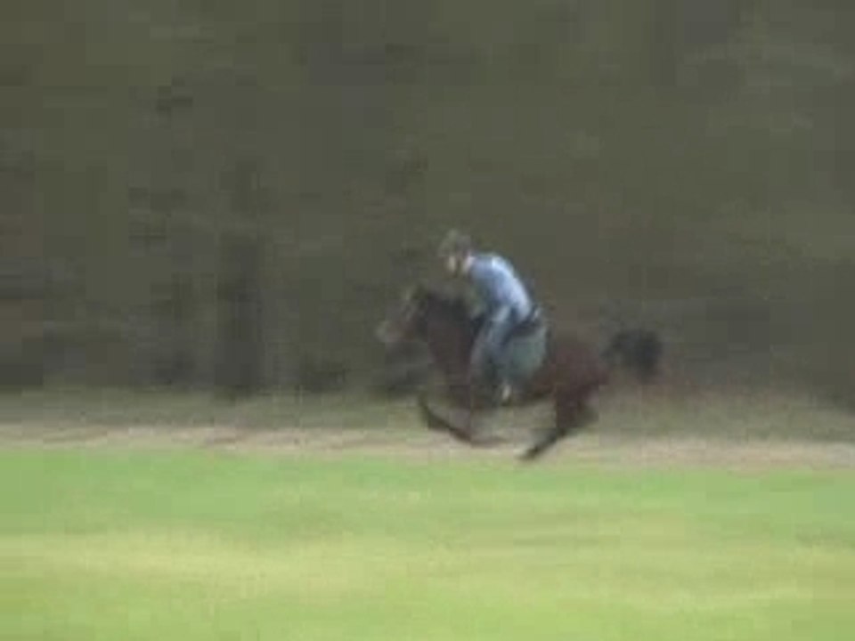 Petit galop sur rond