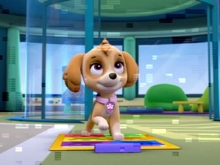 Paw Patrol : La Pat' Patrouille - Le jeu de danse | NICKELODEON JUNIOR