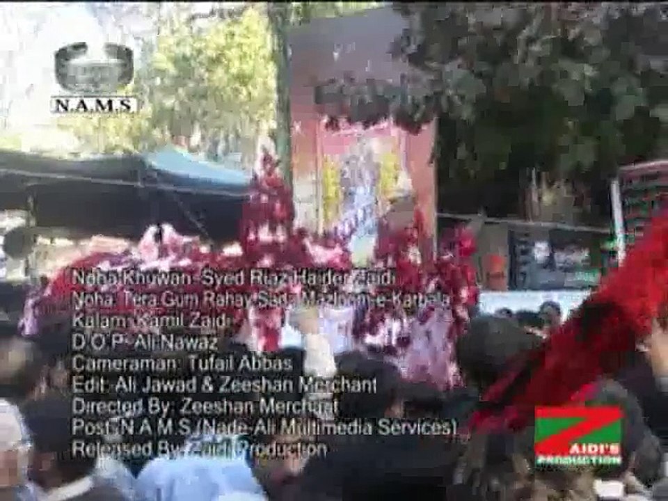 Tera Gham Rahey Sada...by Syed Riaz Haider Zaidi (2010)