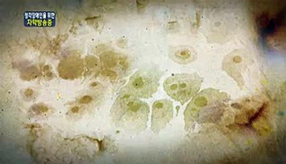 영통건마방출근부-밤전 트위터