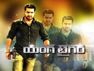 Temper Movie Audio Launch - U&Me Promo