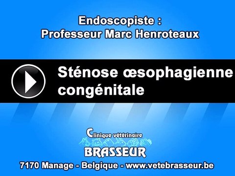 Sténose œsophagienne congénitale - Clinique vétérinaire Brasseur