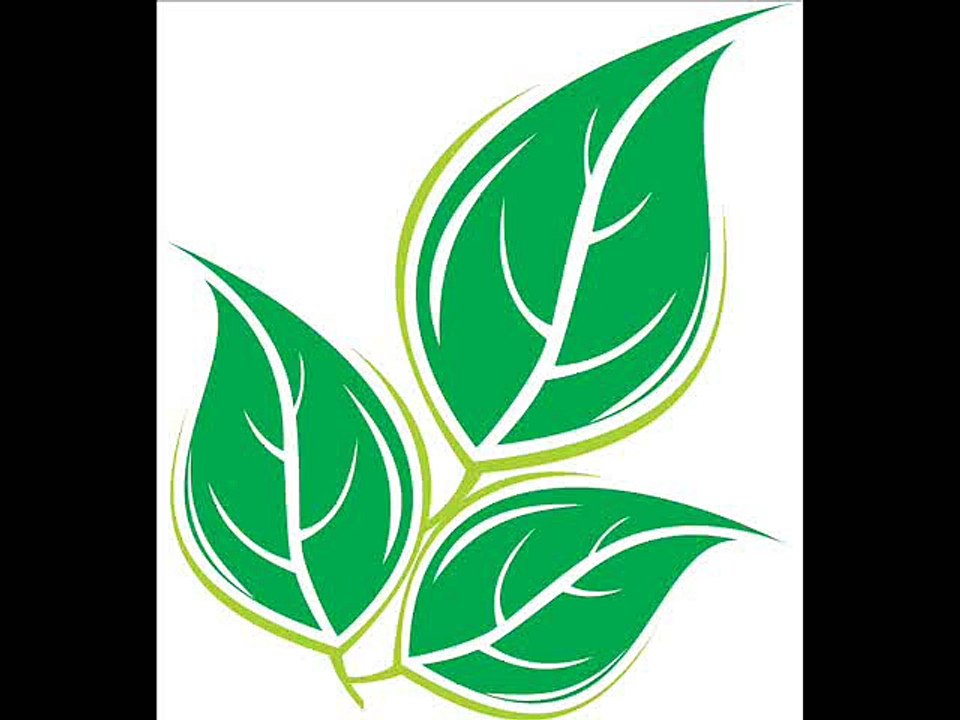 Need For Speed Hot Pursuit 2010 Pc Iso Full + Crack