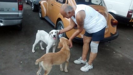 Sr. Celso e os cachorrinhos!