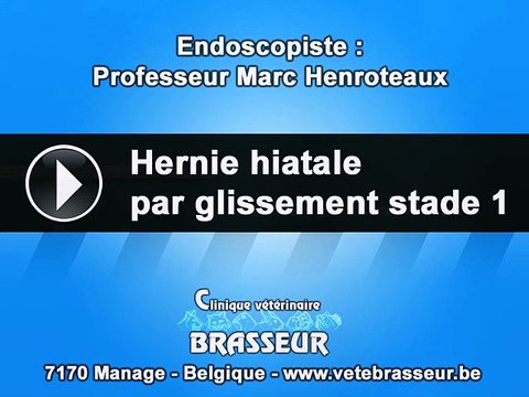 Hernie hiatale stade1 - Clinique vétérinaire Brasseur