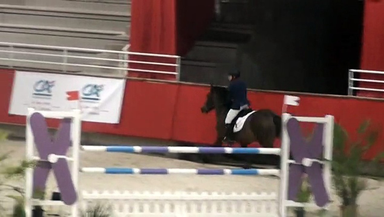 Saphir de Cormeille - TDA de Saint Lo 24 janvier 2014