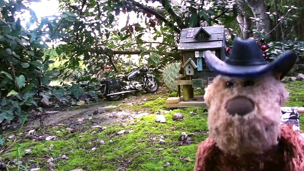 Country boy by IGOR AND THE HIPPIE LAND with Minus (official)